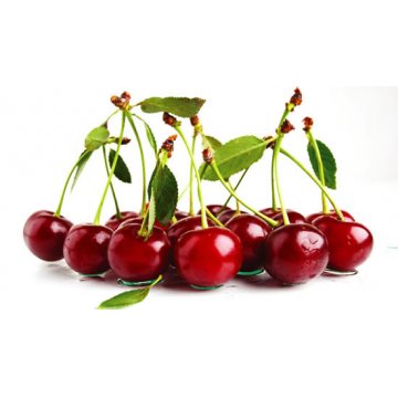 Morello Cherry Puree malta