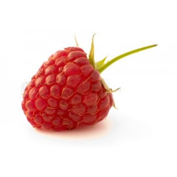 Raspberry red with stem malta