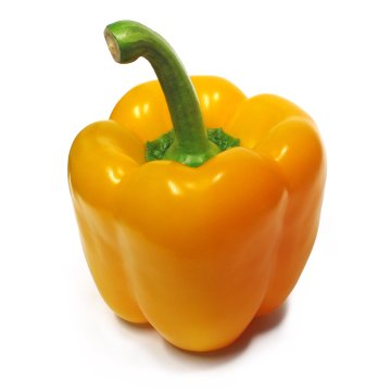 Yellow Pepper Puree malta