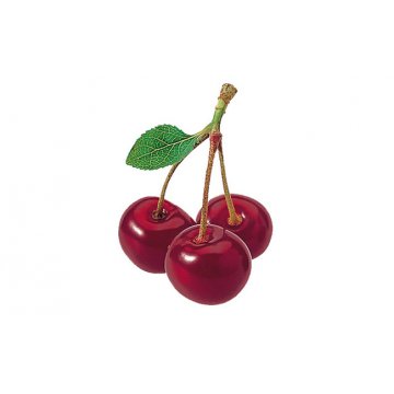Morello Cherry malta