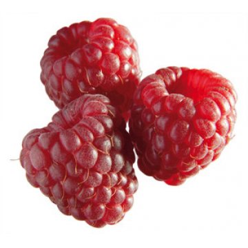 Raspberry Puree x1kg malta
