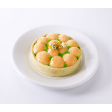 Exotic Fruit Puree x 1kg malta