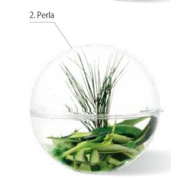 PERLA BOWL malta